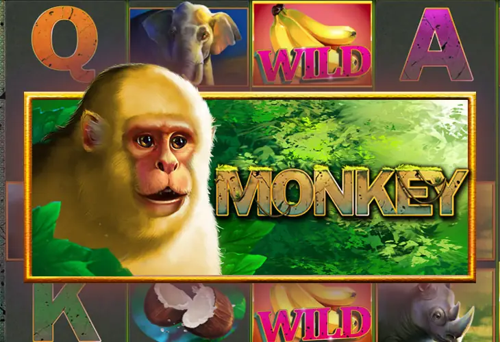 Monkey 7